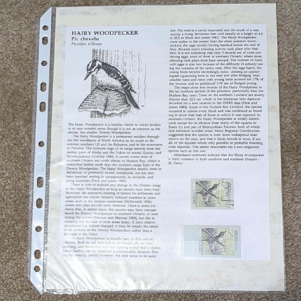 Hairy Woodpecker Postage Stamps And Information Sheet
